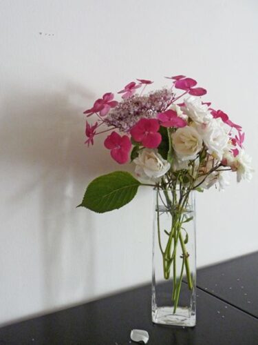 قرار دادن گل و گیاه در خانه