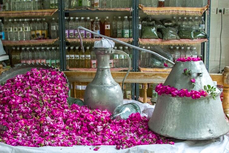 گلاب گیری کاشان و شیشه مخصوص