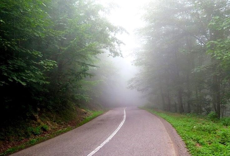 حرکت بر ابرها در طبیعت زیبای رامسر