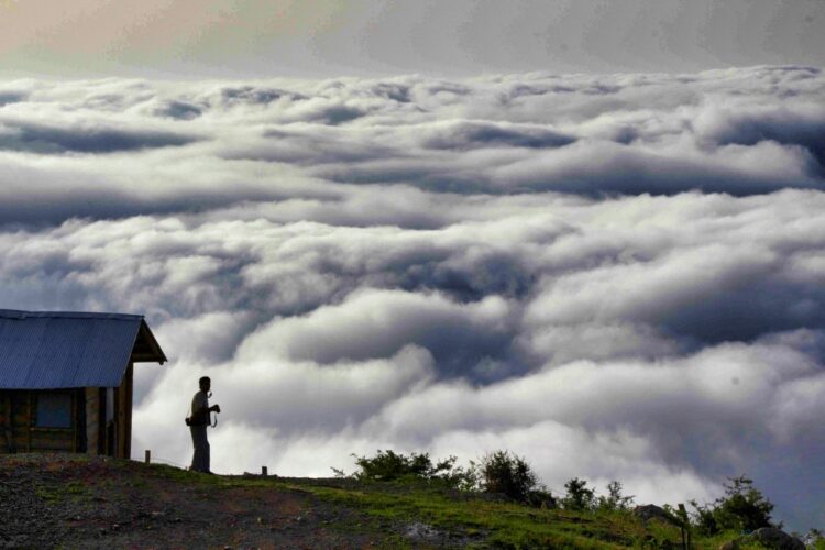 سفر به جنگل ابر