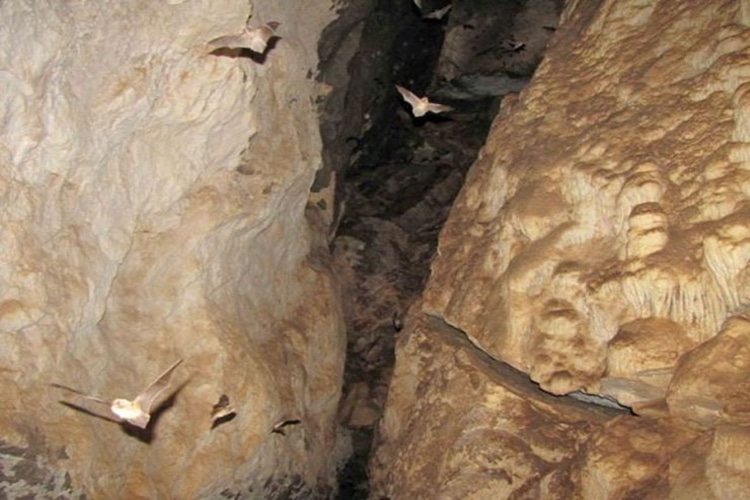 غار زنگیان در سوادکوه