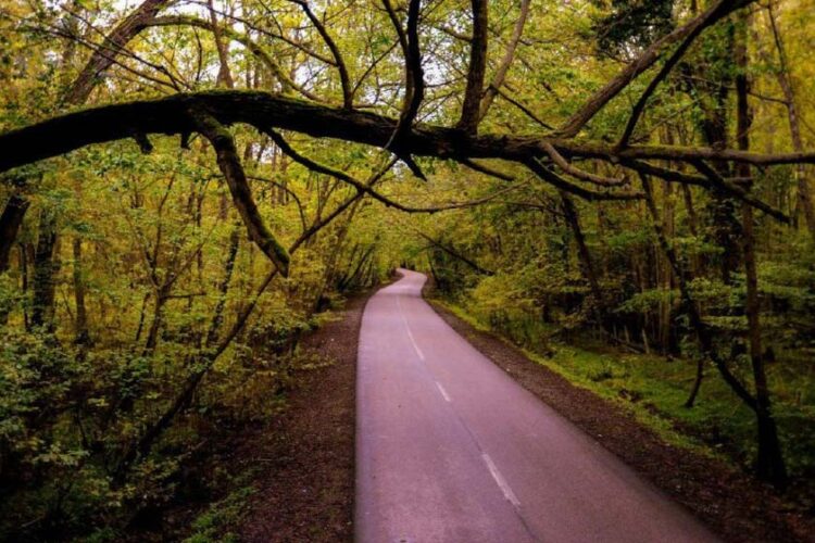 پارک جنگلی نور