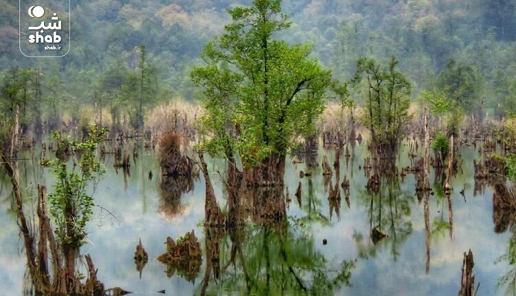 دریاچه ارواح نوشهر