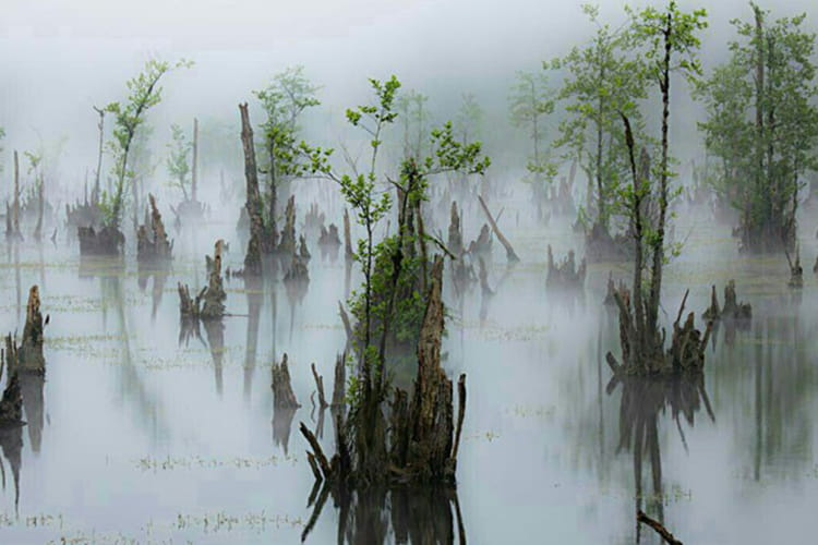 چرا دریاچه ارواح همیشه مه‌آلود است؟