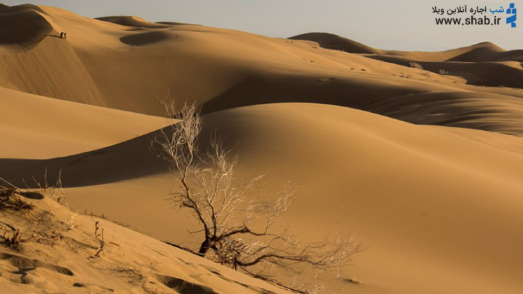 کویر کاراکال در شمال طبس و حوالی بافق در استان یزد