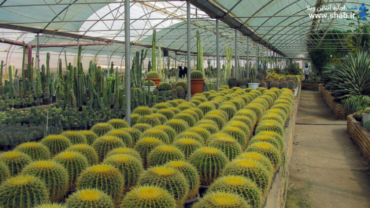 گلخانه های محلات جاذبه گردشگری محلات