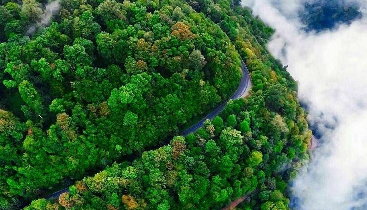 اسالم به خلخال