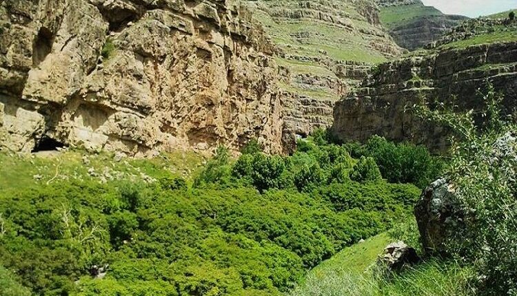 درگز و تندوره