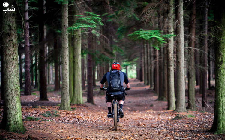 دوچرخه را با وضعیت بدنتان هماهنگ کنید