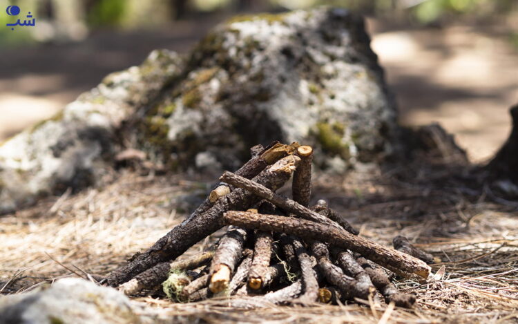 منقل کباب برای آشپزی در سفر