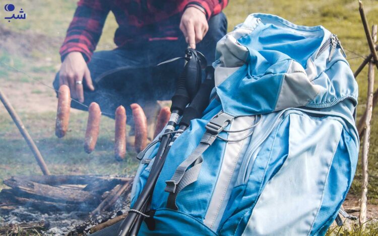 آشپی در سفر