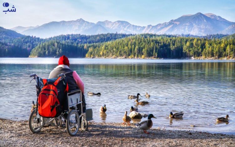 هدف سفر معلولین