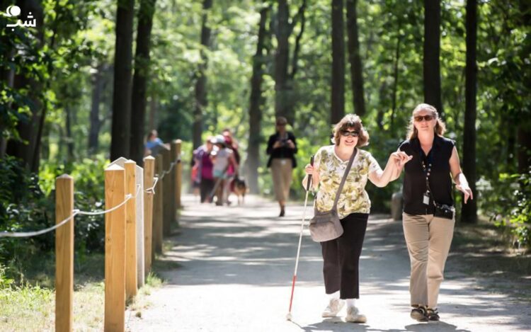 تور و راهنماهای آموزش دیده