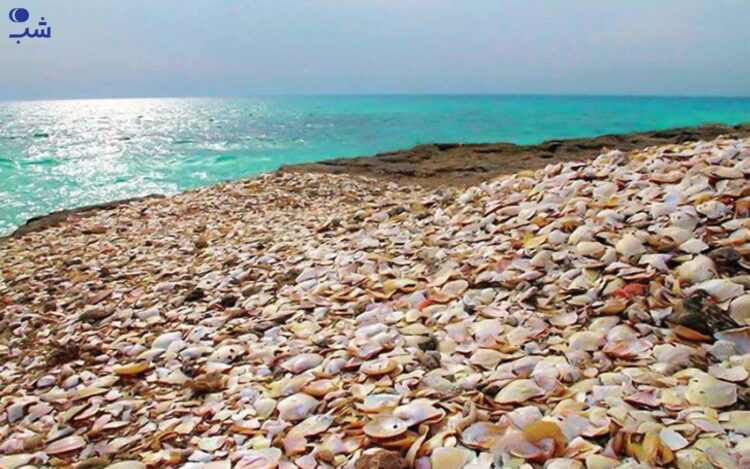 نکات مهم برای سفر به هندورابی