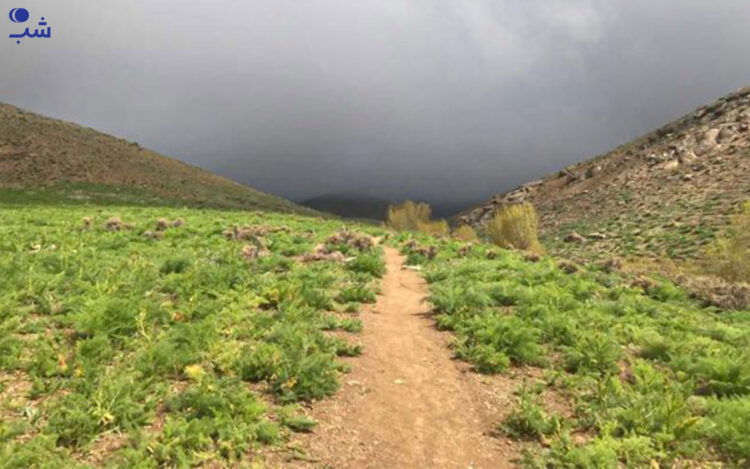 طبیعت وردیج