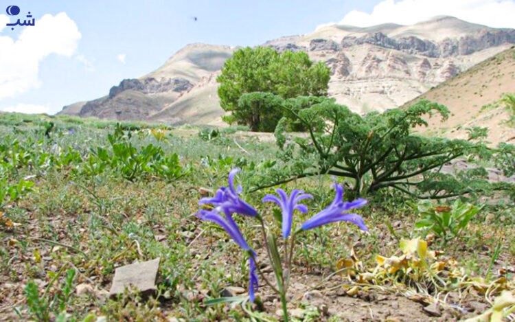 عکاسی در طبیعت زیبای وردیج