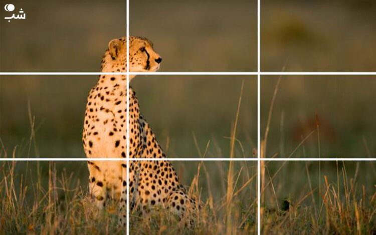 قانون یک سوم در عکاسی