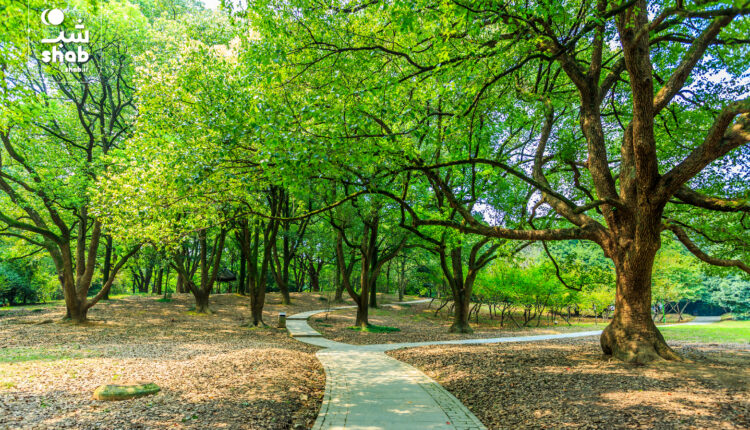 بهترین پارک‌های تهران