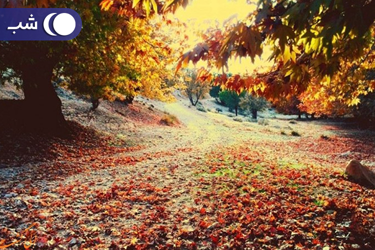 جاهای دیدنی یاسوج تنگ گنجه ای
