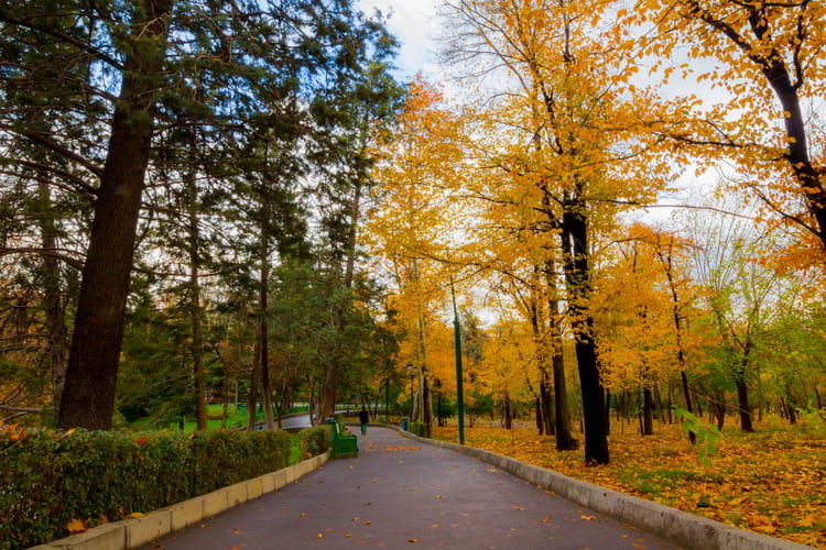 پارک ملت یکی از بهترین پارک های تهران