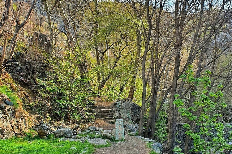 کوهنوردی در تهران و گلابدره