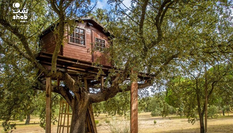 کلبه درختی در ایران