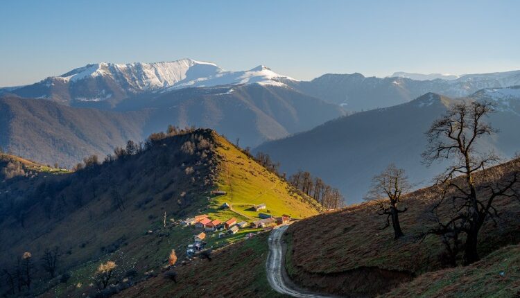 معرفی اولسبلنگاه