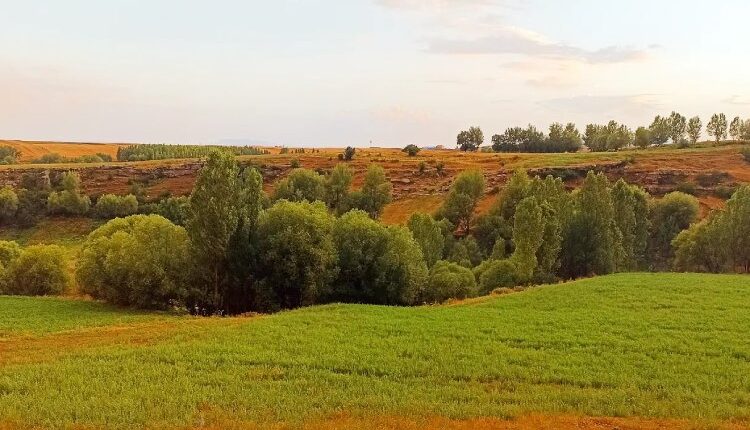 معرفی جاهای دیدنی سرعین