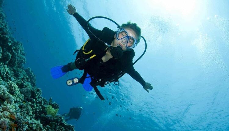 غواصی در قشم ؛ ساحل زیتون