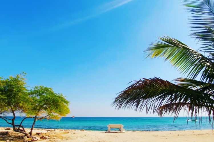 ارزان ترین زمان سفر به کیش برای شرکت در جشنوارهها