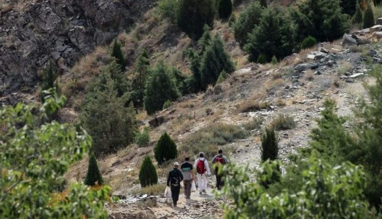 معرفی کوه پارک مشهد