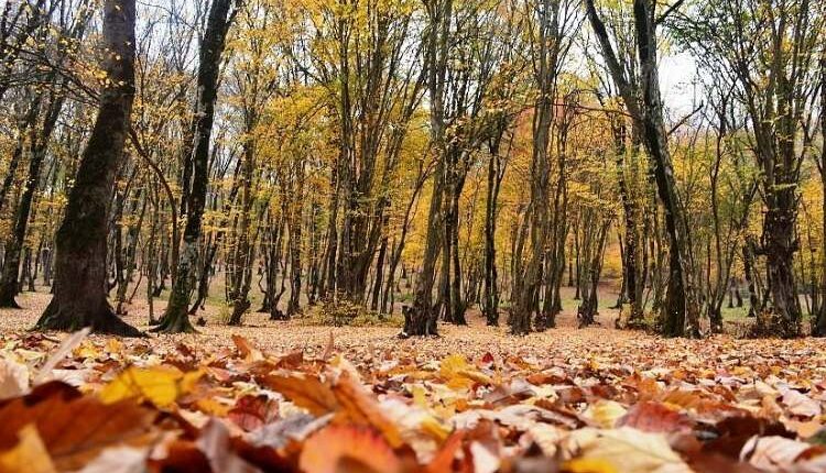 معرفی النگدره گرگان