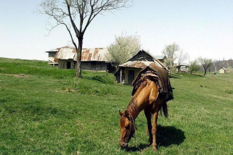 جاذبههای نزدیک به النگدره گرگان