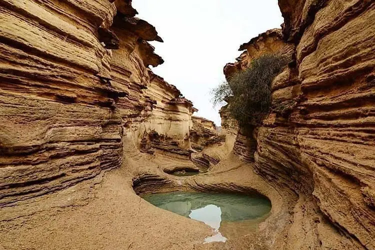 تور قشم