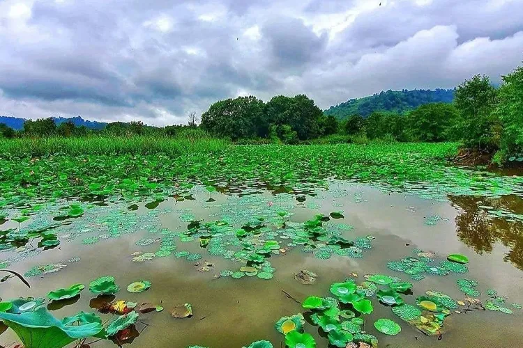 ماهیگیری در تالاب سوستان